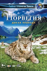 Норвегия 3D: Дикая природа Норвегия 3D: Дикая природа