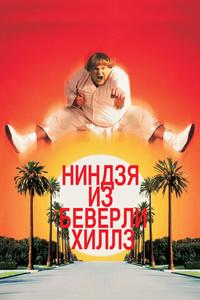 Ниндзя из Беверли Хиллз Ниндзя из Беверли Хиллз
