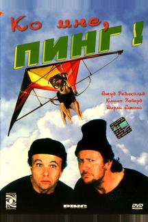 Ко мне, Пинг!