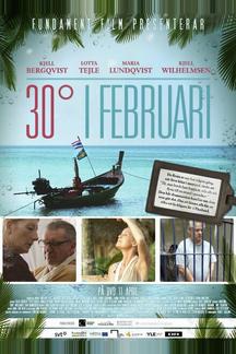 30 градусов в феврале