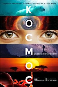 Космос: Одиссея через пространство и время Космос: Одиссея через пространство и время