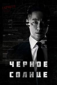 Чёрное солнце Чёрное солнце